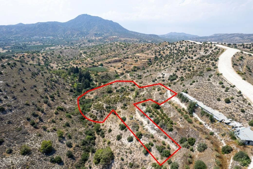 Agricultural field in Anglisides Larnaca, image 1