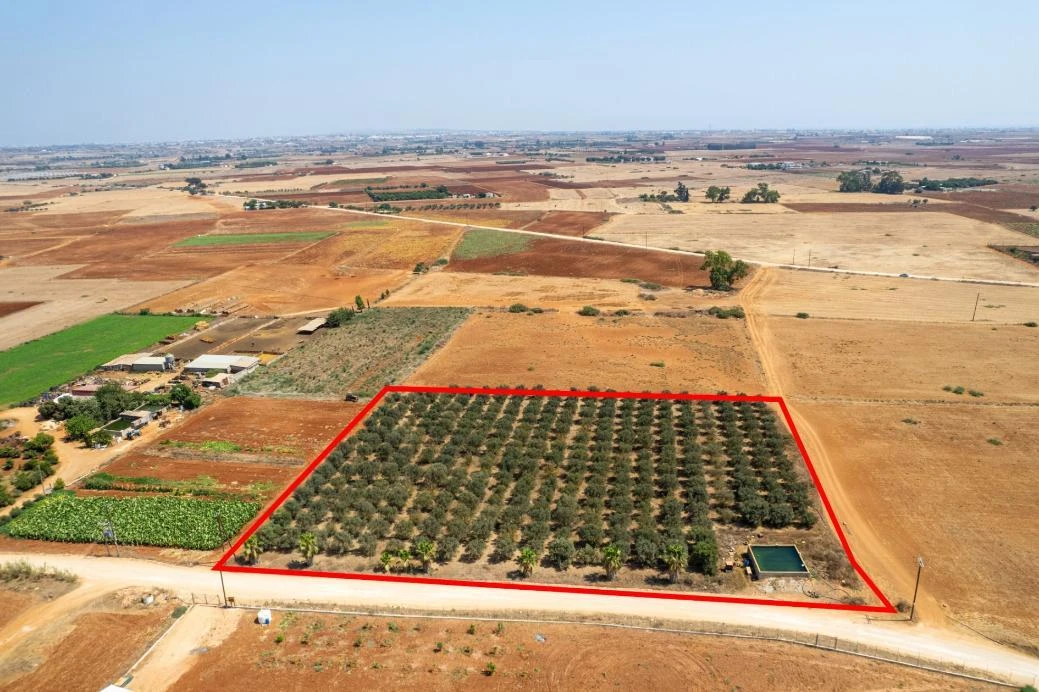 Agricultural field in Avgorou Famagusta, image 1