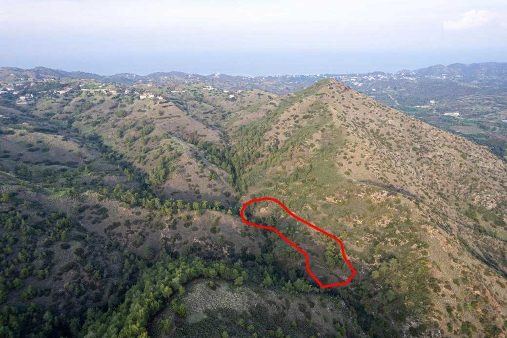 Shared agricultural field in Pigenia Nicosia, image 1