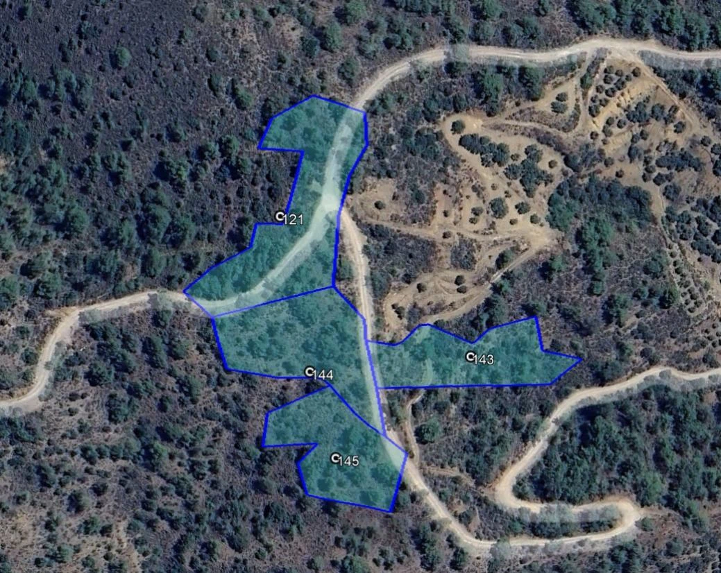 4 fields in Arakapas Limassol, image 1