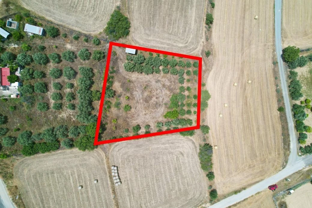 Residential field in Pera Oreinis Nicosia, image 1