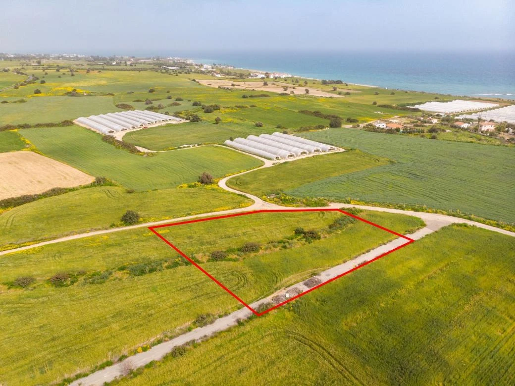 Tourist field in Maroni Larnaca, image 1