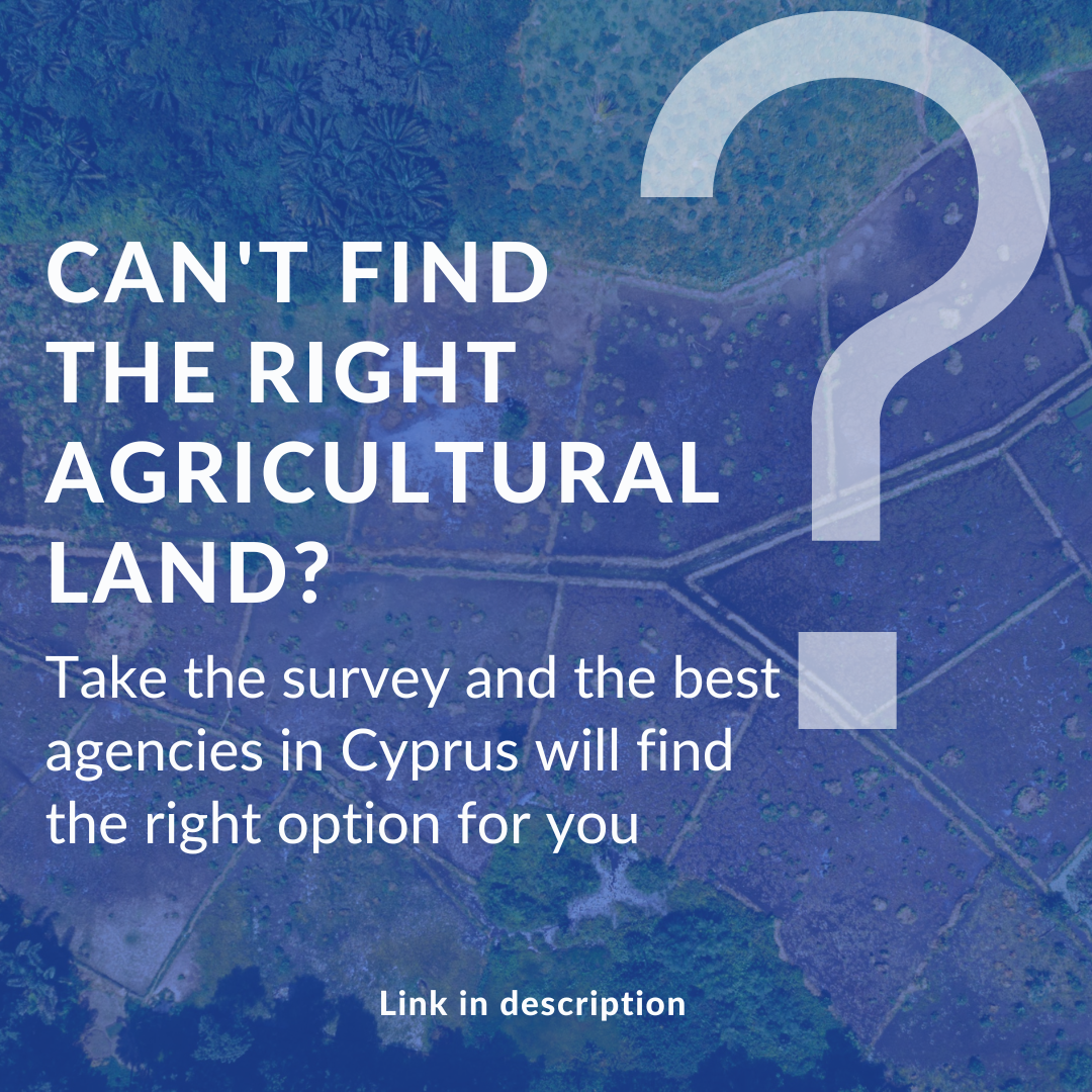 Find Agricultural Lands for Rent in Agia Napa, image 2